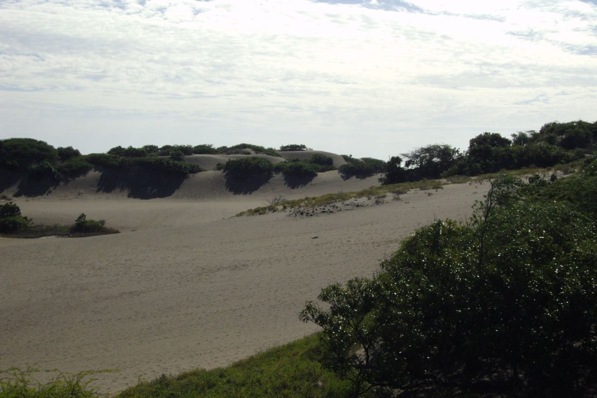 Paisaje de dunas