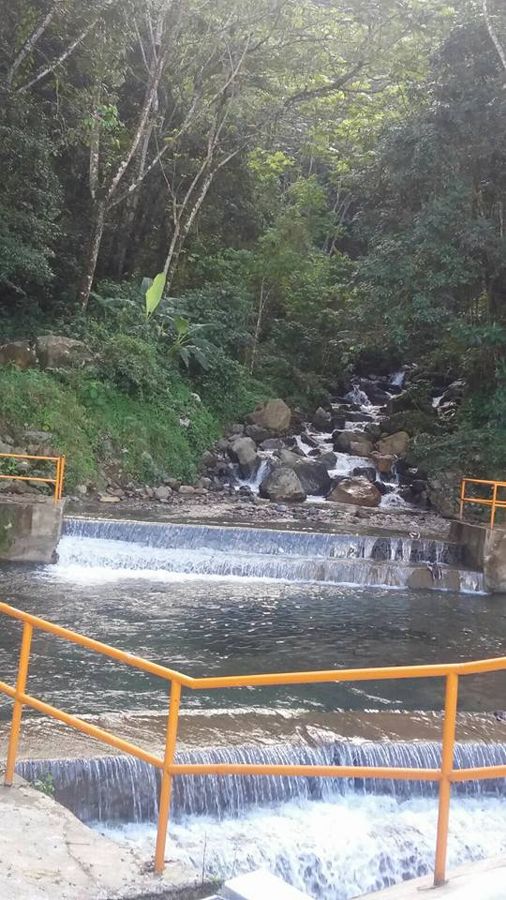 Cauce de agua con cascada