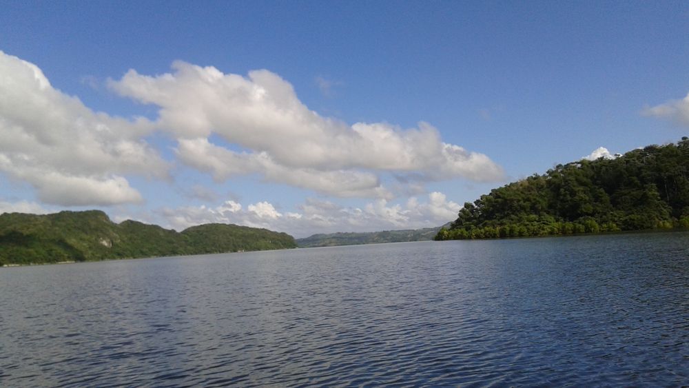 Lago y montañas